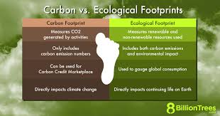 What Is Ecological Footprint Vs Carbon