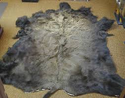 buffalo hair on hide robe
