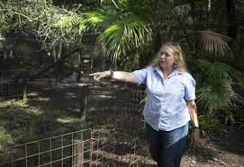 This weekend stop in at tampa's big cat rescue, fl. Woman Nearly Loses Arm In Tiger Attack At Carole Baskin S Big Cat Rescue