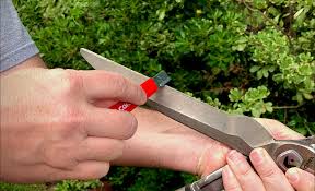 how to maintain garden tools the home