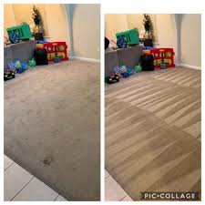 steam master dfw carpet tile cleaning