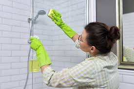 how to clean shower glass quickly and