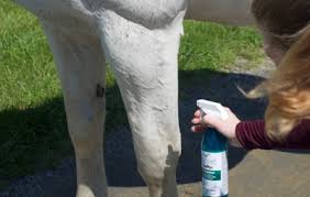 ings in fly spray pro equine