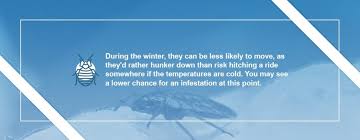 pests in the winter months