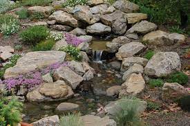 Water Feature Rock Garden Wild Ginger