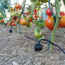 Our build your own fruit and vegetable cages are designed for grow your own gardeners who want a flexible fruit and vegetable crop protection system that comes in on budget. Watering The Greenhouse Equipment For Greenhouse Watering
