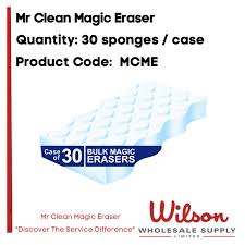 Mr Clean Magic Eraser Wilson
