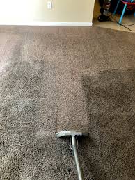 exceptionally clean carpet midlothian