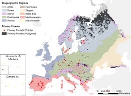 European Primary Forest Database V2 0