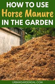 how to use horse manure in your garden