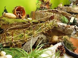 Moss Miniature Garden Fairy Garden