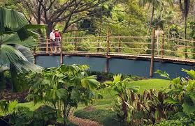 At the end of lawa'i road is one of the most magnificent gardens on kaua'i, the national tropical botanical garden. Pin On Hawaii