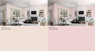 Light Pink Paint Color