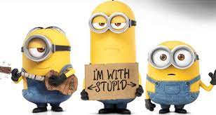 100 funny minion pictures