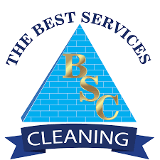 11 best carpet cleaning services