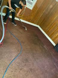 carpet cleaning knoxville free