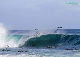 surfing 101 how to read a wave