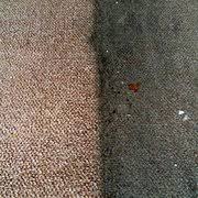 genesis carpet upholstery cleaning