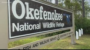 okefenokee sw offers wild adventure