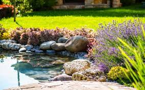 Florida Friendly Landscaping Ideas To