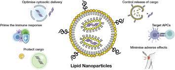 lipid nanoparticle vaccines