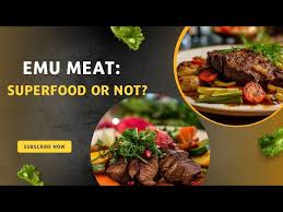 emu meat the exotic superfood you need