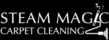 carpet cleaning steam magic carpet