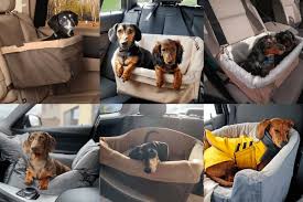 Top 10 Best Dog Car Seats To Keep Your