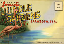 Sarasota Jungle Gardens Souvenir