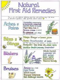 Natural First Aid Wall Chart Close Up Holistic Remedies
