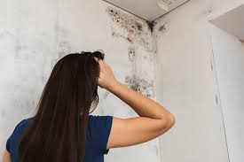 10 Signs Of Mold How To Detect Mold In