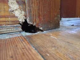 hole in hardwood floor baseboard
