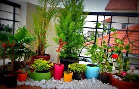 Set Up A Balcony Garden In Your Apartment