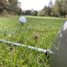 sunken gardens golf course updated