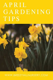 April Gardening Landscaping Tips
