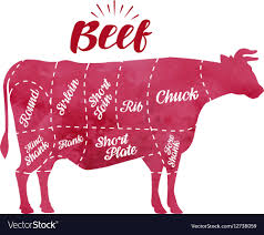Diagram Cutting Cow Meat Butcher Shop Bull Beef