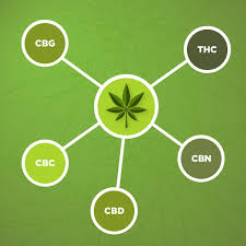 cbn weed