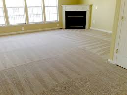 carpet cleaning water extraction