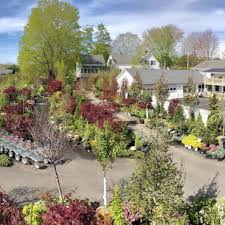 New England Nurseries Garden Centers