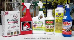 Deer Country 4 Do Repellents Work