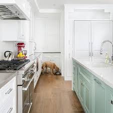 mint green kitchen cabinets design ideas