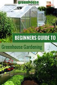 Greenhouse Gardening For Beginners