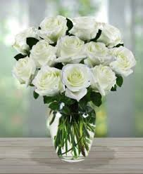 white sympathy roses avas flowers