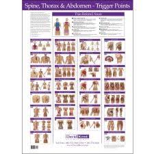 Trigger Point Charts 5 Chart Set Acupuncture Points