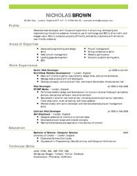 Professional Resume Samples   CV Resume Ideas Government Resume Example