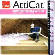 Attic Cat Insulation Ruler Best Cat Cute Pictures Meme