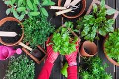 how-do-i-keep-my-planters-from-clogging