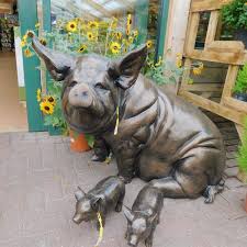 Pig Sitting Monkton Elm Garden Centre