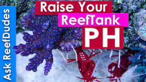 how to raise ph in a reef tank ph