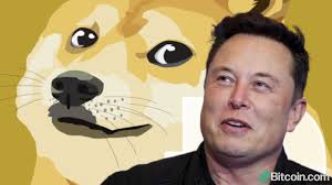 Adults have gotten a covid vaccine. Elon Musk Urges Dogecoin Whales To Dump Their Coins Even Offers To Pay Them Altcoins Bitcoin News
